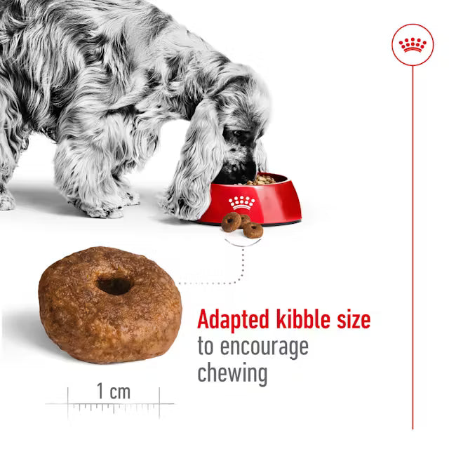 Royal Canin Medium Ageing 10+ Dry Dog Food - 3 kg